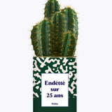 Endetté sur 25 ans - Cactus