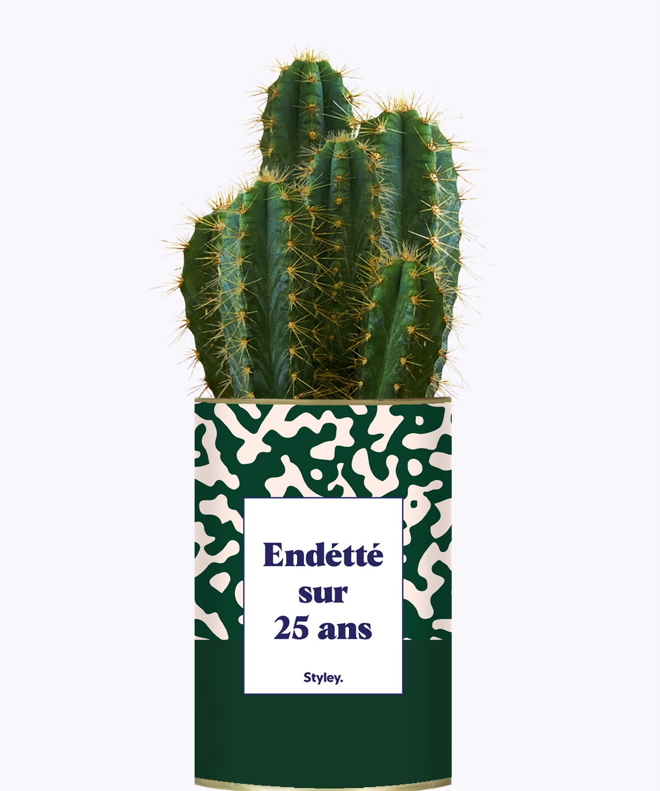 Endetté sur 25 ans - Cactus