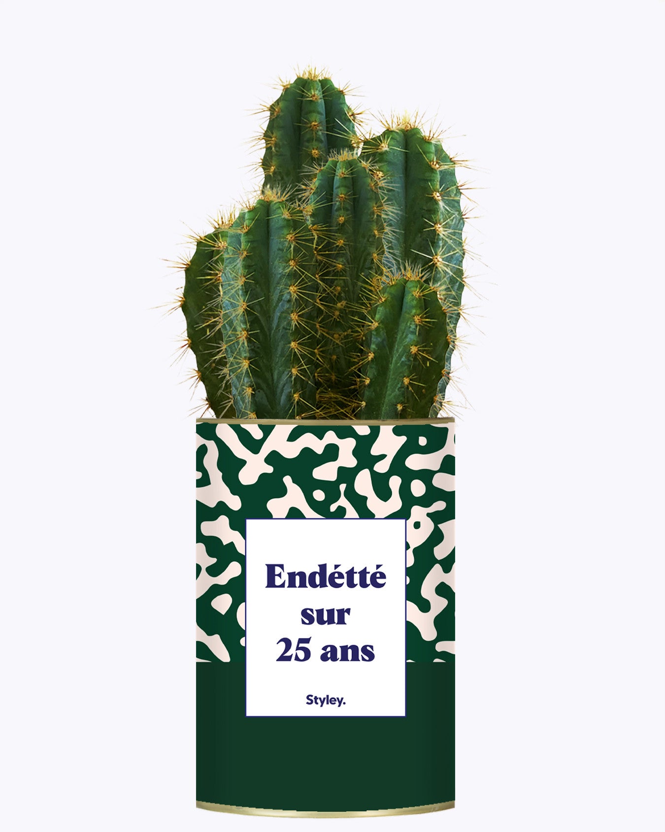 Endetté sur 25 ans - Cactus