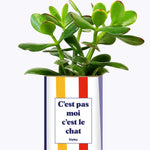 C'est pas moi c'est le chat - Cactus