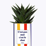 C'est pas moi c'est le chat - Cactus