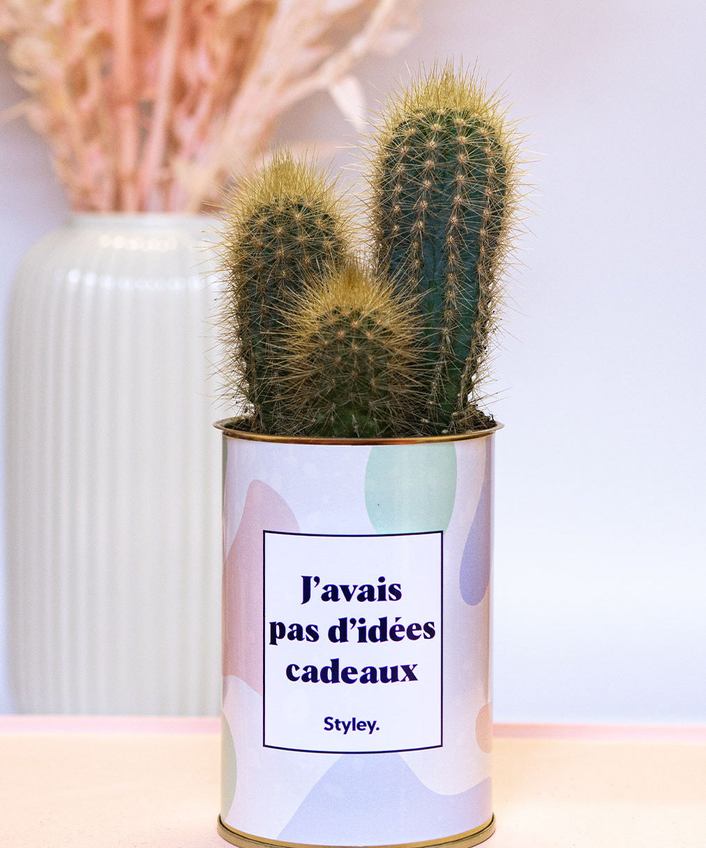 J'avais pas d'idées cadeaux - Cactus