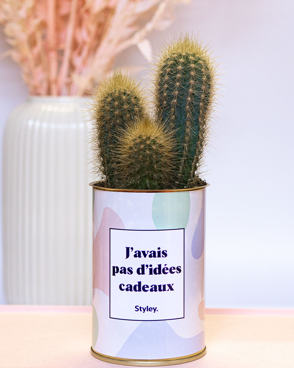 J'avais pas d'idées cadeaux - Cactus