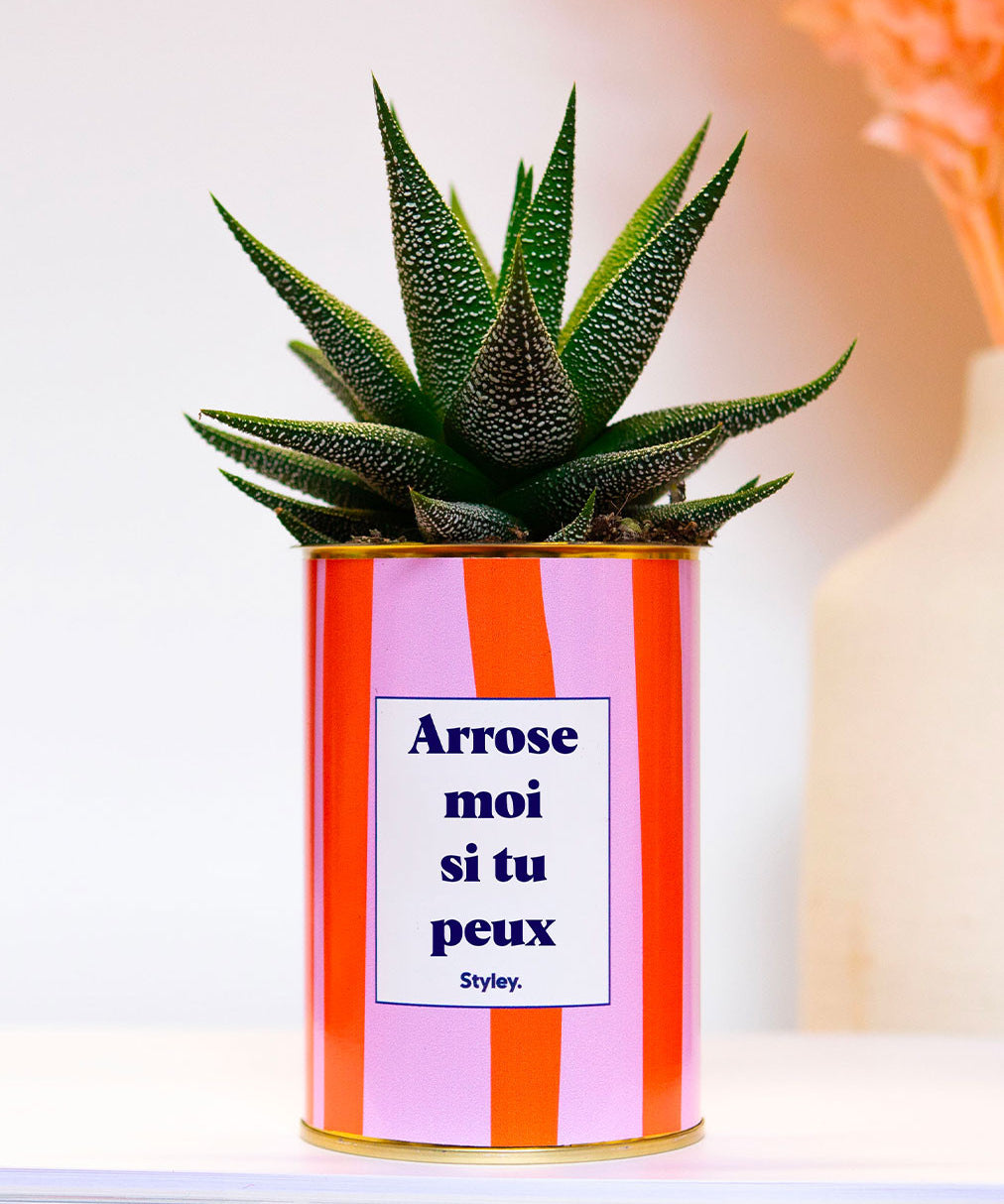 Arrose moi si tu peux - Plante