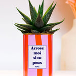 Arrose moi si tu peux - Plante