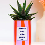Arrose moi si tu peux - Plante