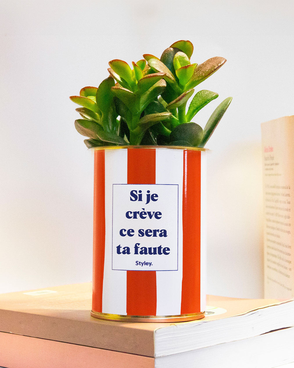 Si je crève ce sera ta faute - Plante