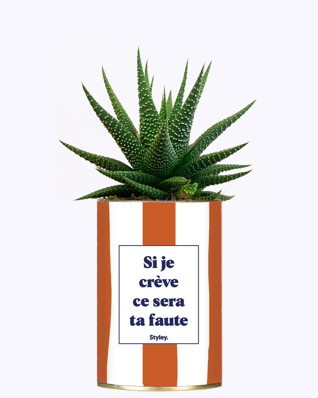 Si je crève ce sera ta faute - Plante
