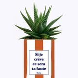 Si je crève ce sera ta faute - Plante