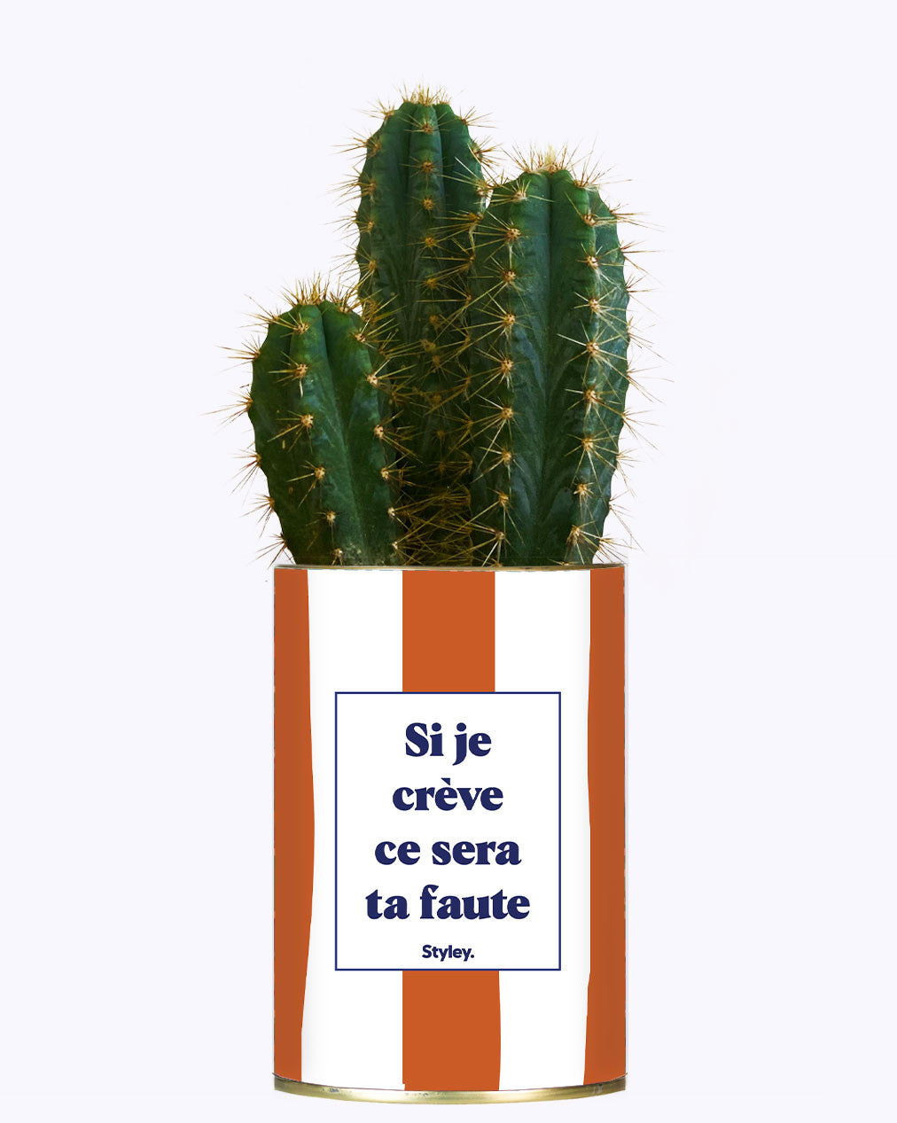 Si je crève ce sera ta faute - Plante