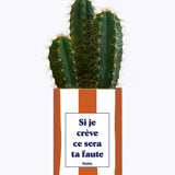 Si je crève ce sera ta faute - Plante