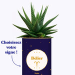 Astrologie - Plante zodiac