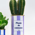Plante de connasse - Plante