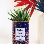 Salut les moches - Cactus