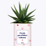 Cadeau de Saint Valentin - Cactus