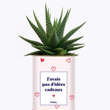Cadeau de Saint Valentin - Cactus