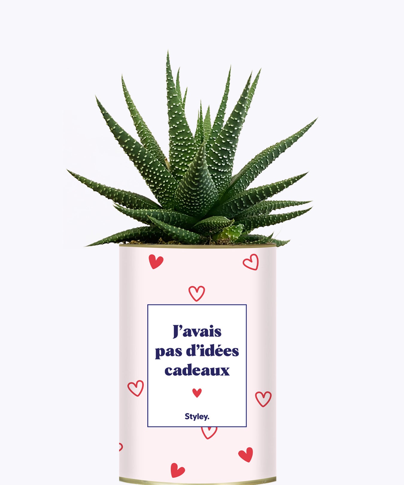 Cadeau de Saint Valentin - Cactus