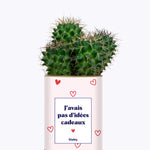 Cadeau de Saint Valentin - Cactus