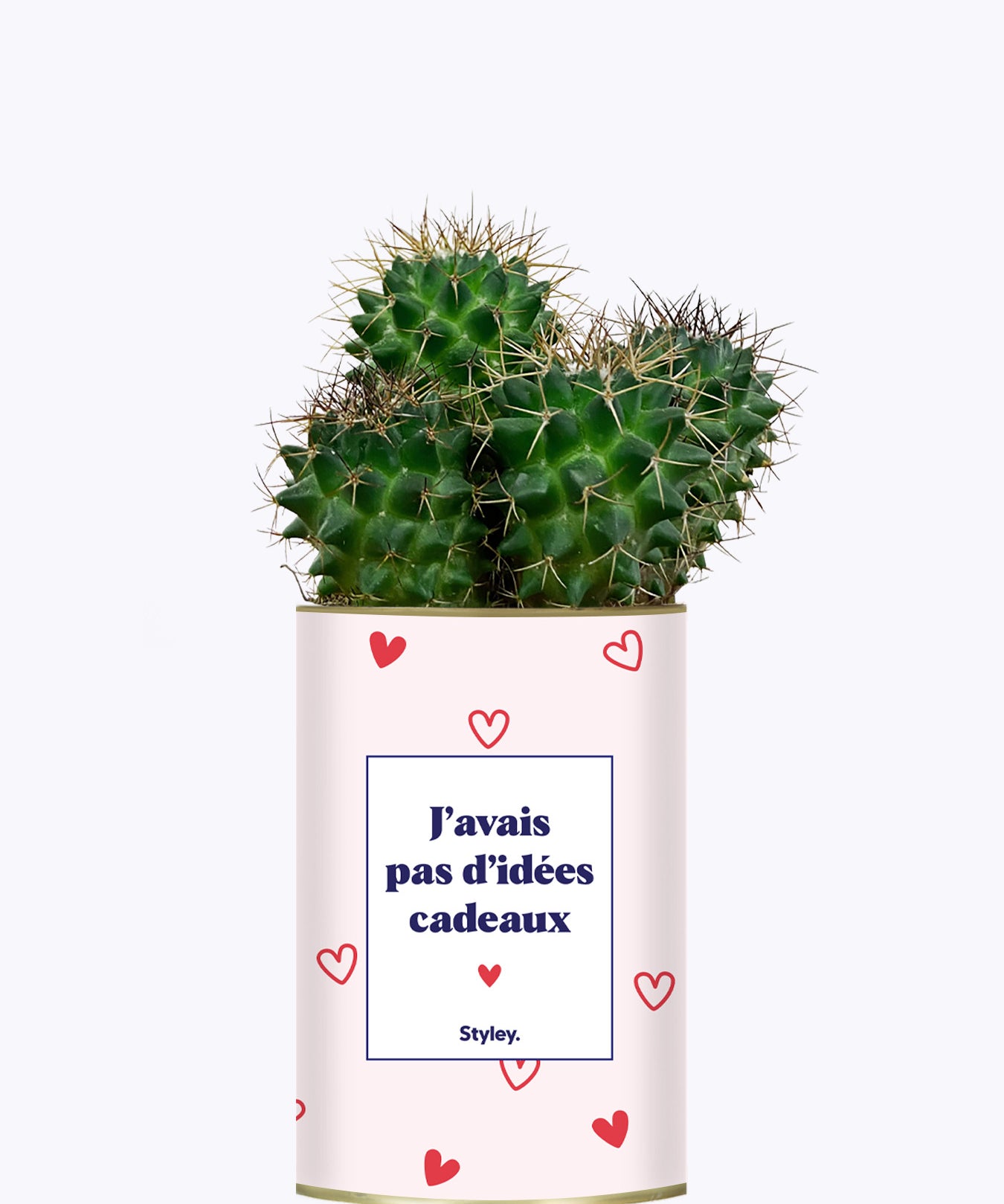 Cadeau de Saint Valentin - Cactus