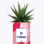 Aime - Saint Valentin - Cactus