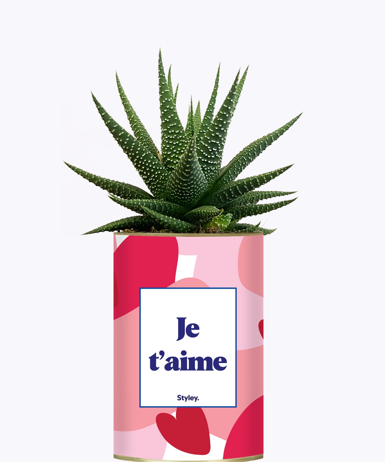 Aime - Saint Valentin - Cactus