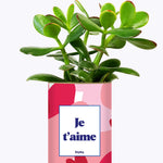 Aime - Saint Valentin - Cactus