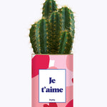 Aime - Saint Valentin - Cactus