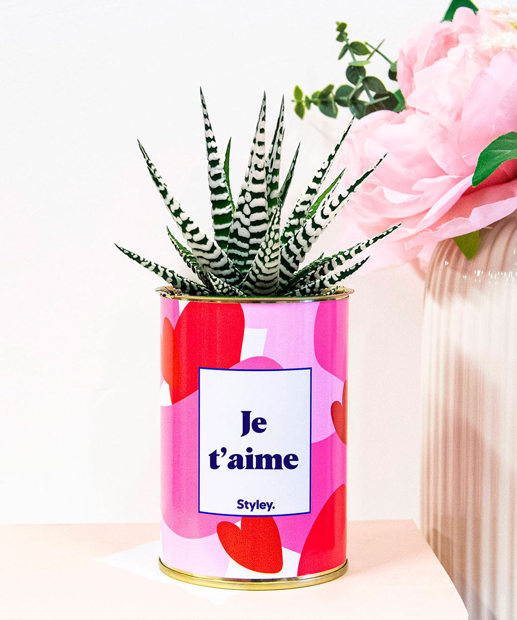 Aime - Saint Valentin - Cactus