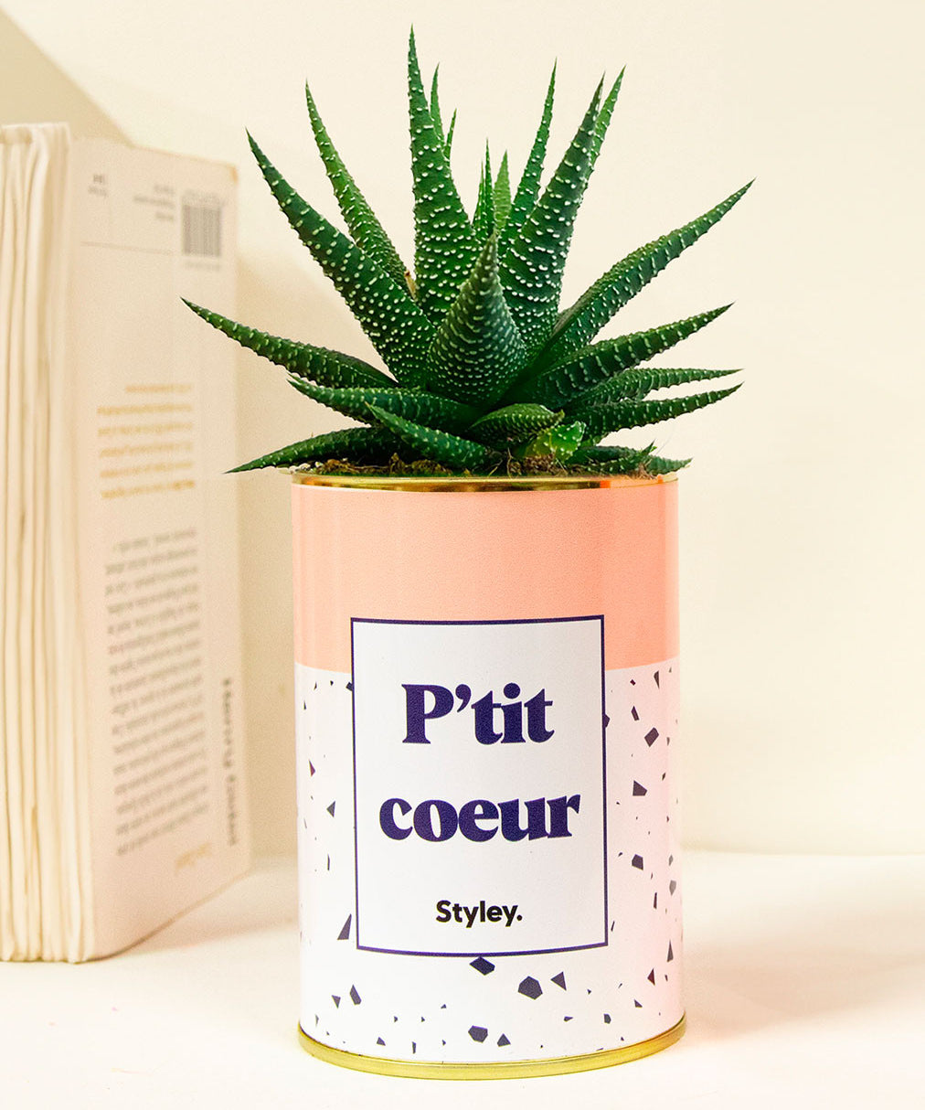 P'tit coeur - Cactus