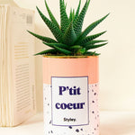 P'tit coeur - Cactus