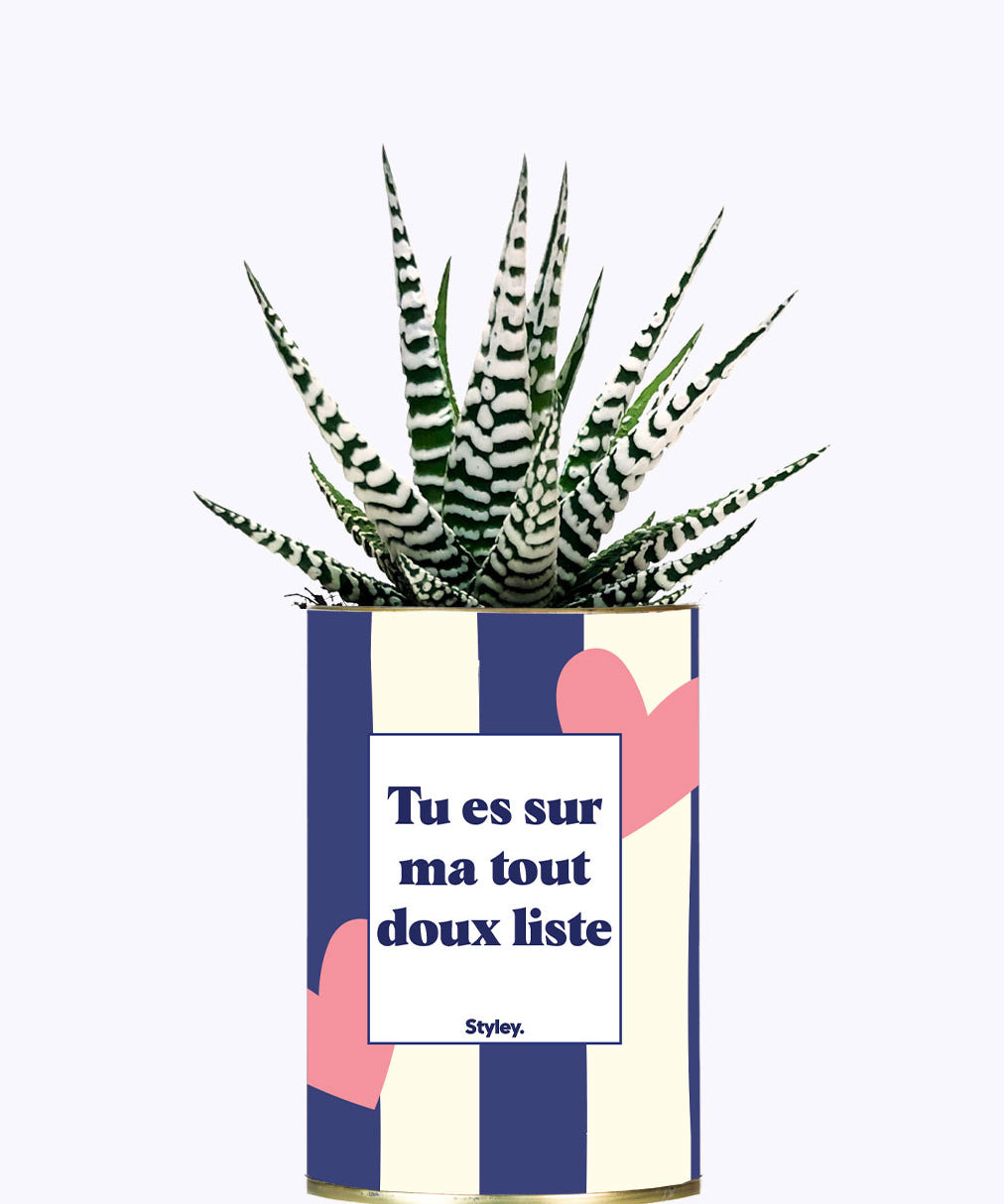Tout doux list - Cactus