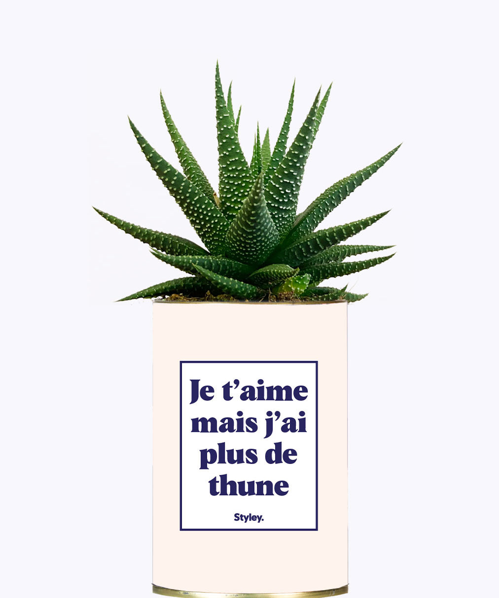 Je t'aime mais j'ai plus de thune - Cactus