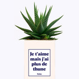 Je t'aime mais j'ai plus de thune - Cactus