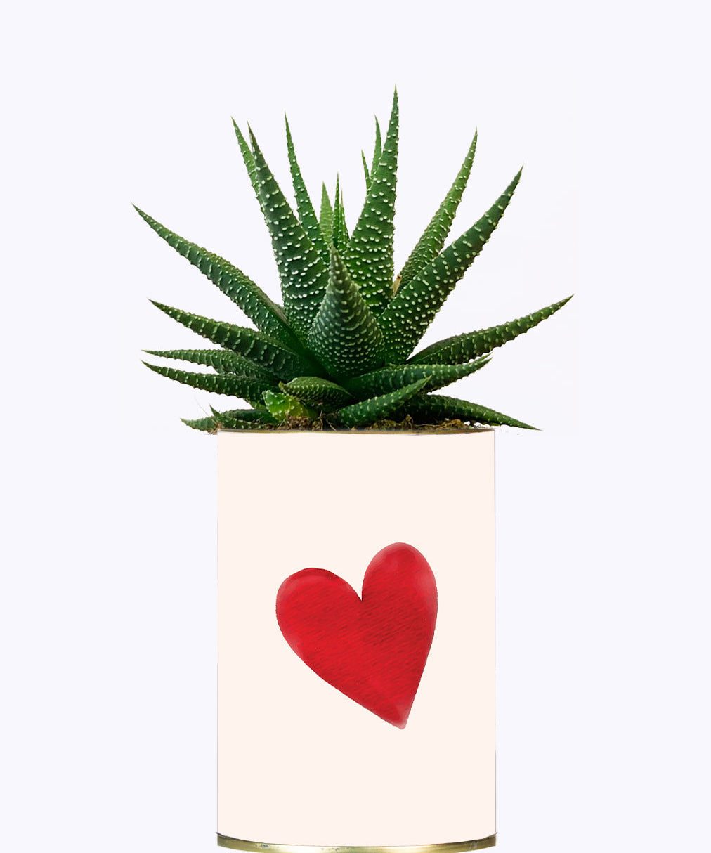 Je t'aime mais j'ai plus de thune - Cactus