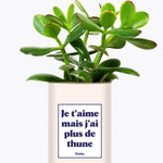 Je t'aime mais j'ai plus de thune - Cactus