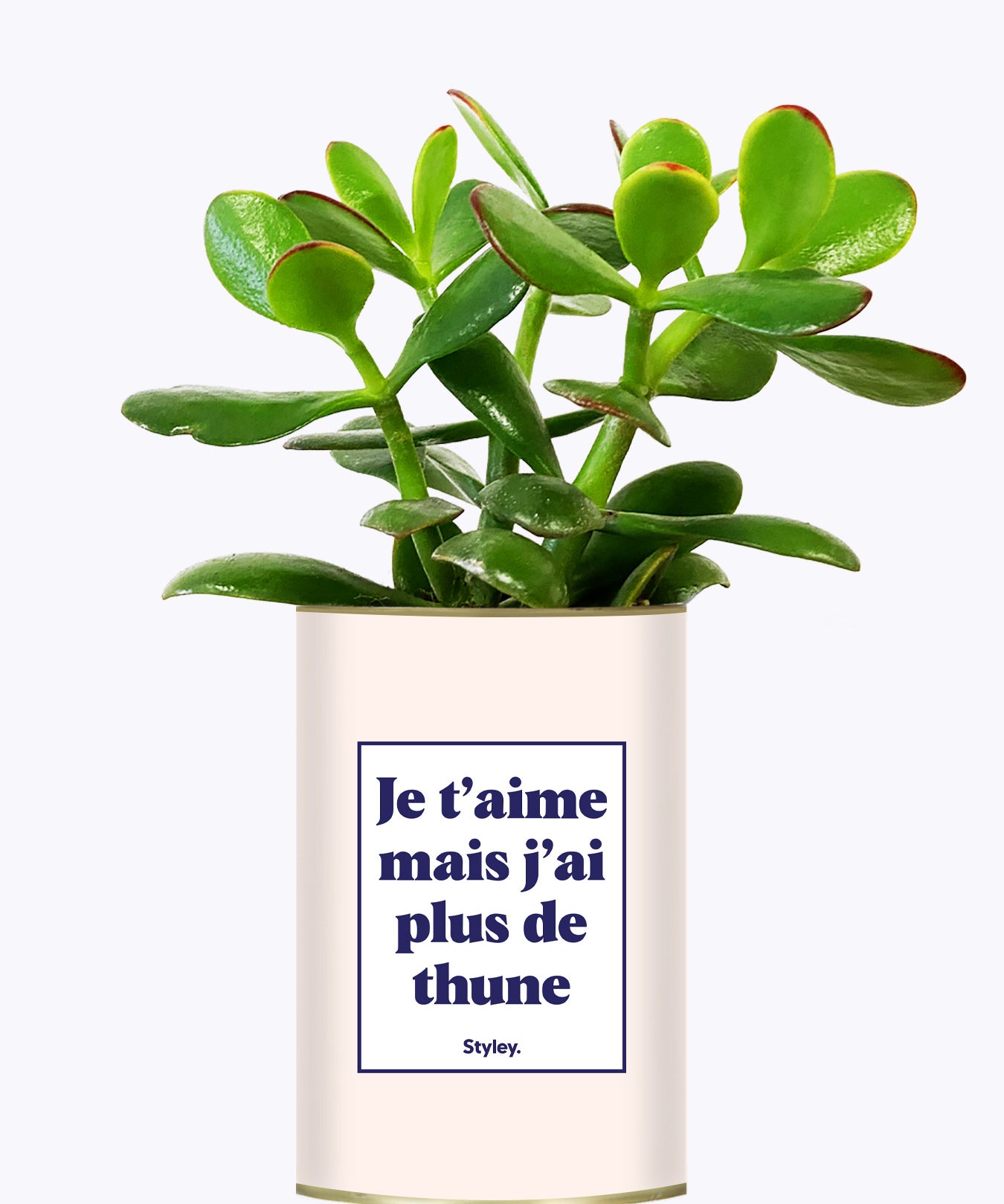 Je t'aime mais j'ai plus de thune - Cactus