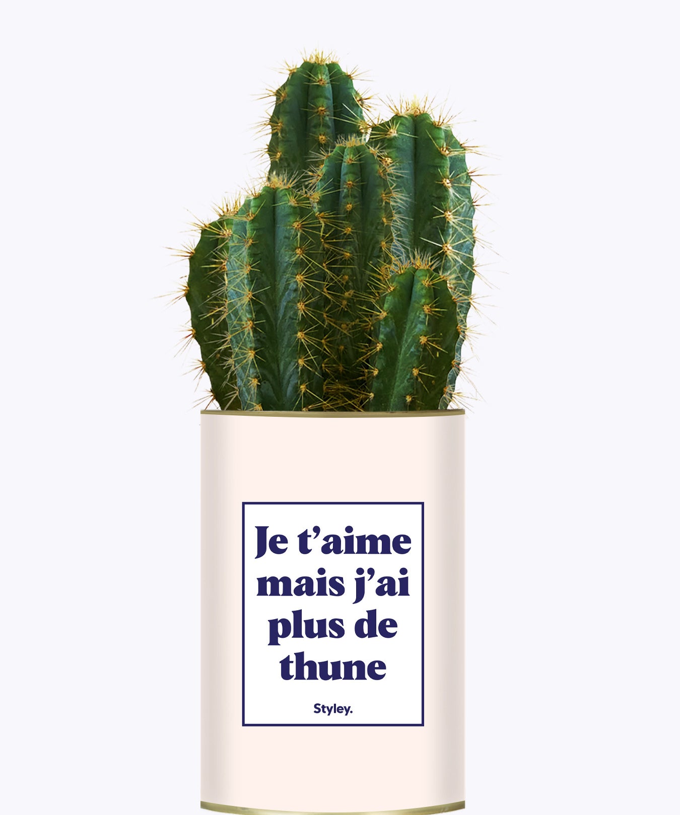 Je t'aime mais j'ai plus de thune - Cactus