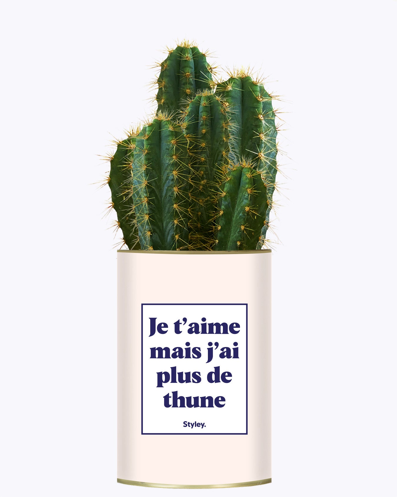 Je t'aime mais j'ai plus de thune - Cactus