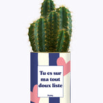 Tout doux list - Cactus