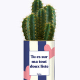 Tout doux list - Cactus