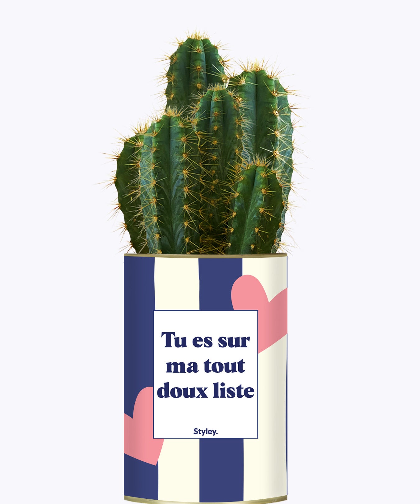 Tout doux list - Cactus