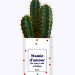 Mamie d'amour personnalisable - Cactus