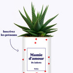 Mamie d'amour personnalisable - Cactus