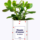 Mamie d'amour personnalisable - Cactus