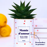 Mamie d'amour personnalisable - Cactus