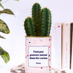 Faut pas pousser mémé dans les cactus - Cactus