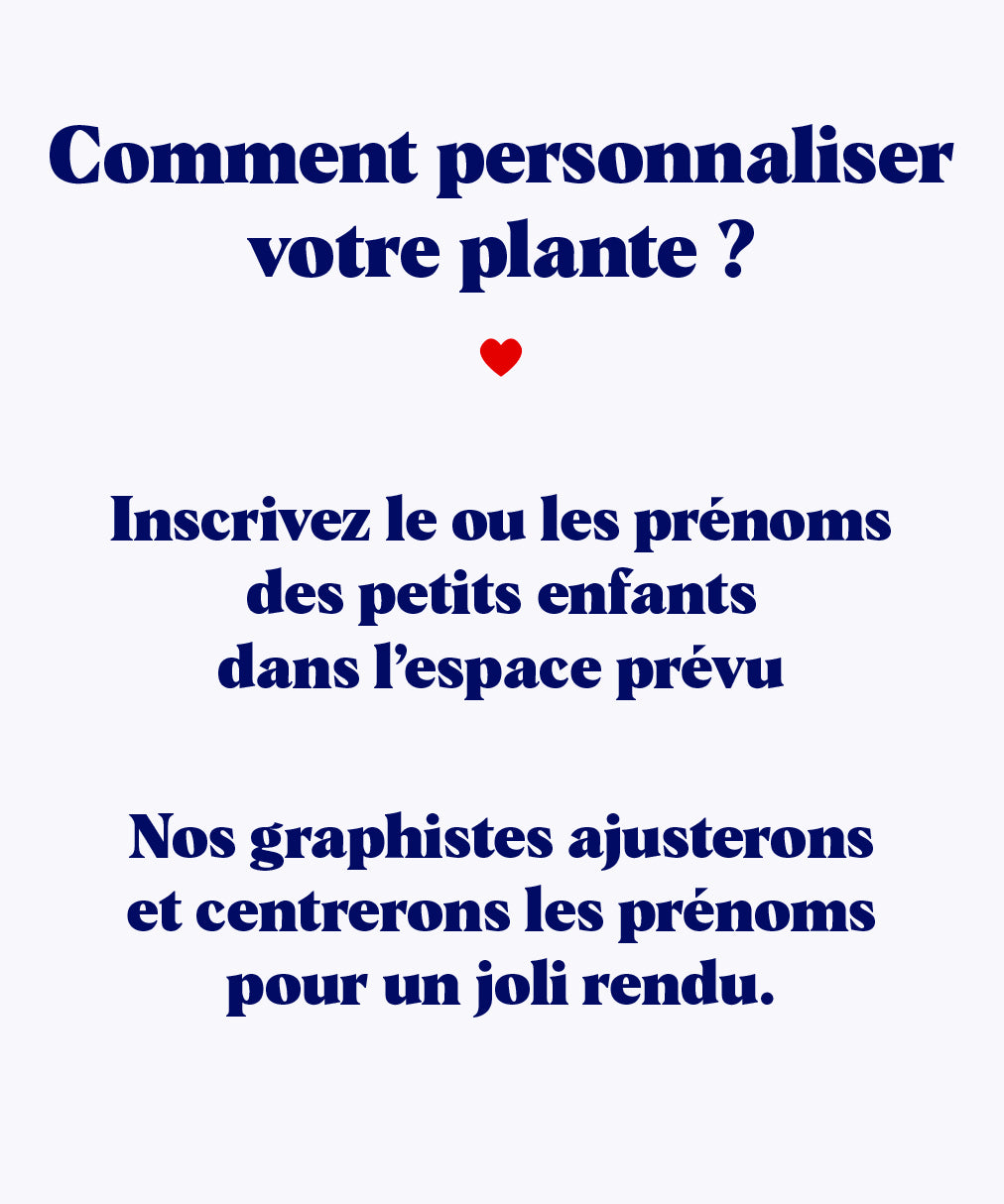 Grand-mère personnalisable  - Cactus