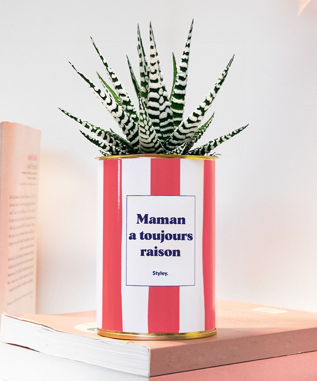 Maman a toujours raison - Cactus