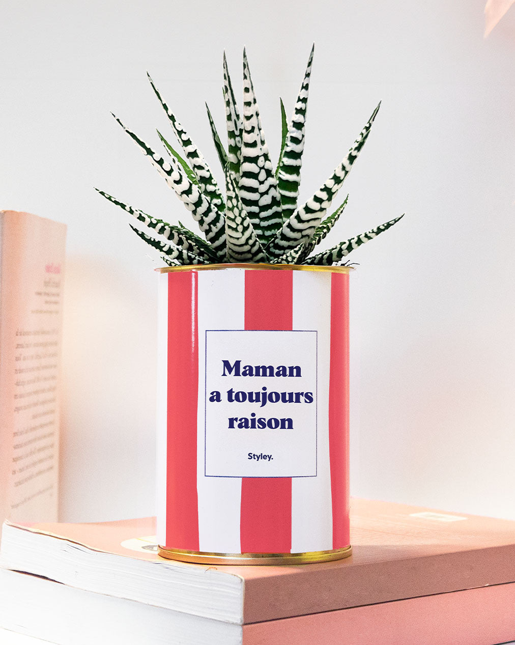Maman a toujours raison - Cactus