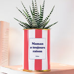 Maman a toujours raison - Cactus
